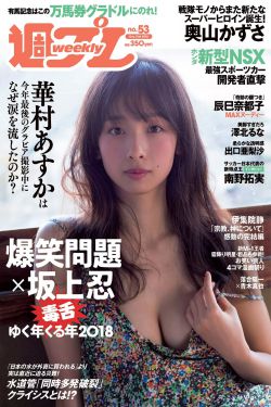 人皮高跟鞋国语在线观看完整版电视剧