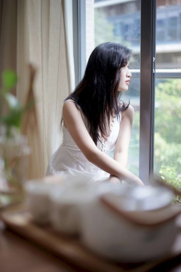 离婚申请小说免费阅读全文