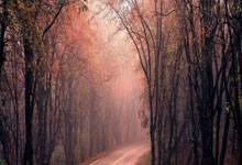 ��ɽ��ʵ���ռ� ��̬ũҵ������:��̬ũҵ