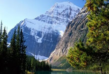 �����̬ũҵ������������̬ũҵƽ̨���������̼ҹ�����ɫδ��:��̬ũҵ