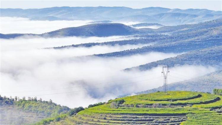 ����ɽˮ ����ɽ�ӡ�������ʵʩ����ɽ��ɽˮ���̡��޲���̬�˰̼�ʵ:��̬����